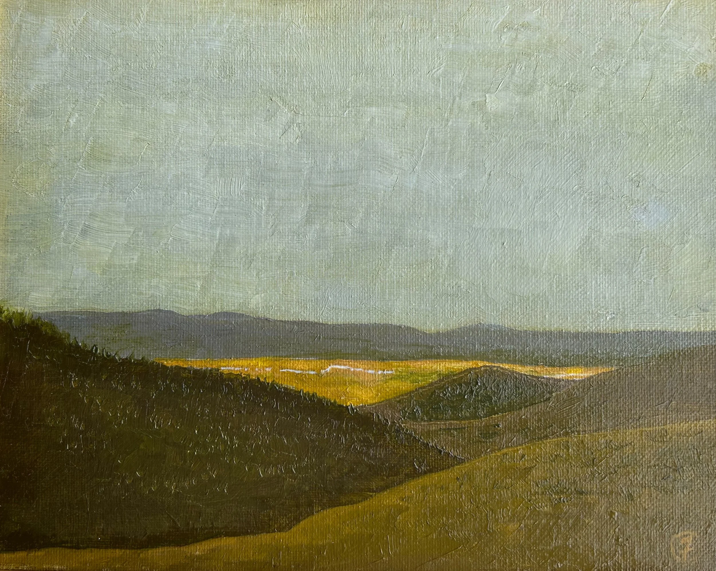 Gallery 3 — Michael Foose